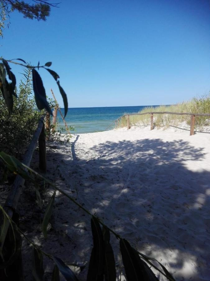 Domek W Brzozach Villa Sasino Buitenkant foto